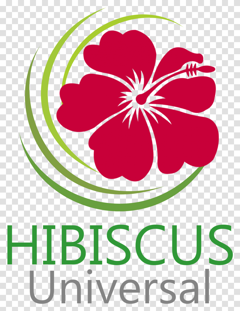 Hibiscus, Plant, Poster, Advertisement, Flower Transparent Png