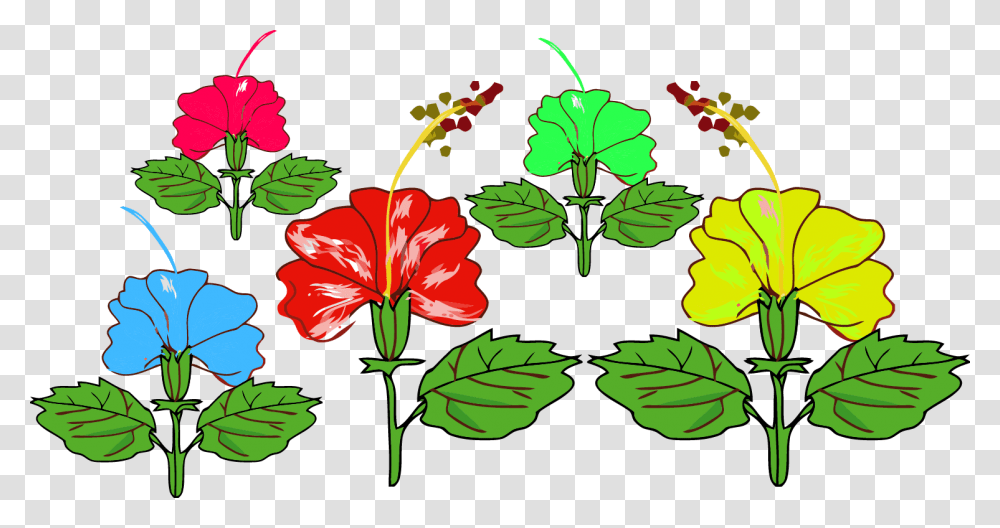 Hibiscus Red Flower Chinese Hibiscus, Plant, Leaf, Blossom, Potted Plant Transparent Png