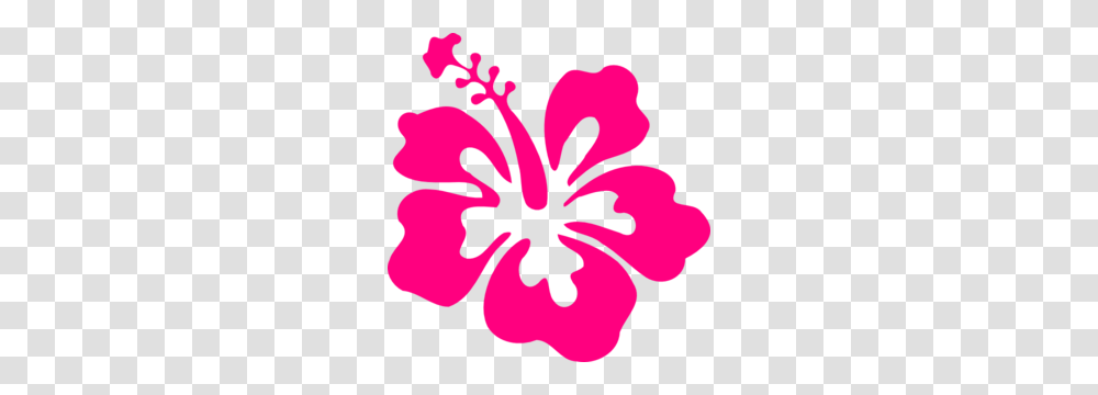 Hibiscus Templates, Flower, Plant, Blossom Transparent Png