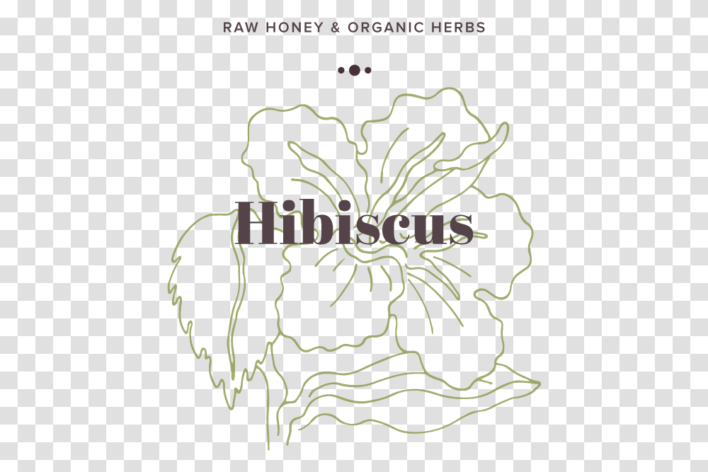 Hibiscus, Floral Design Transparent Png