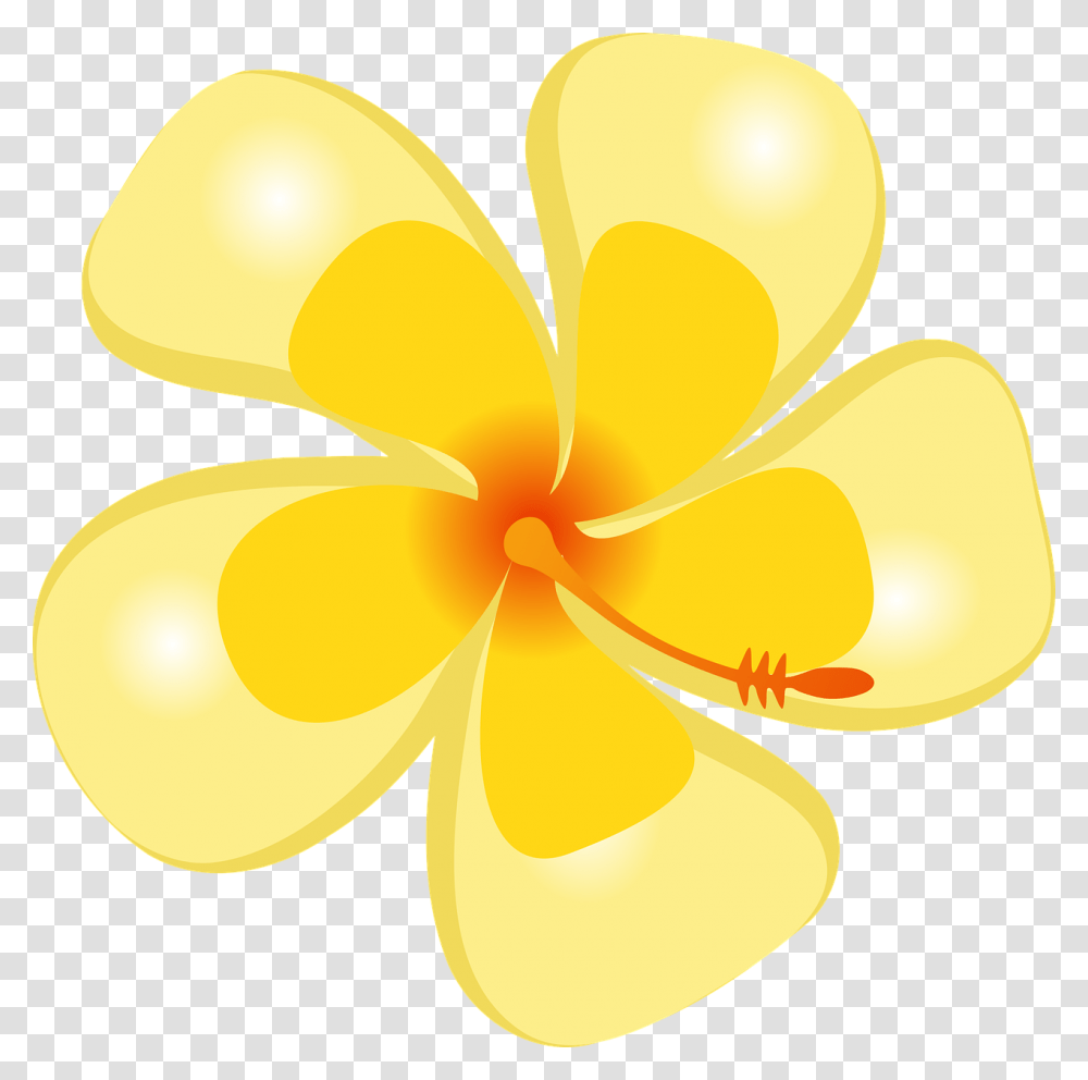 Hibiscus Tropical Flower Tropical Flower Yellow, Plant, Petal, Blossom, Daisy Transparent Png
