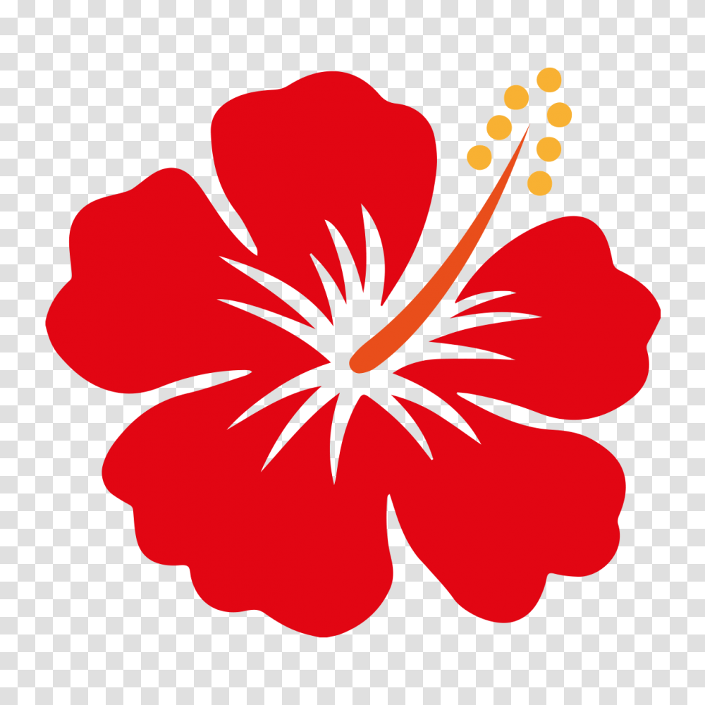 Hibiscus Vector, Flower, Plant, Blossom Transparent Png