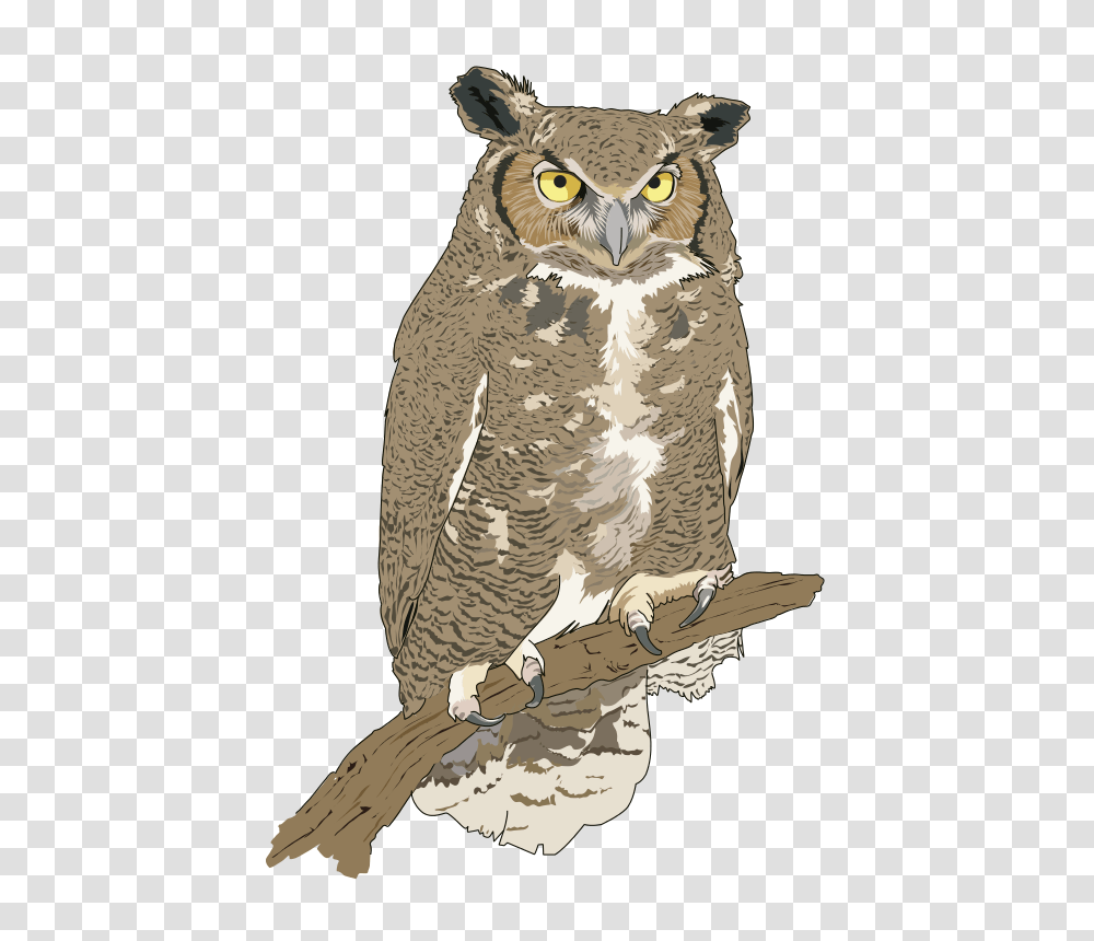 Hibou Grand Duc Eagle Owl, Nature, Bird, Animal Transparent Png