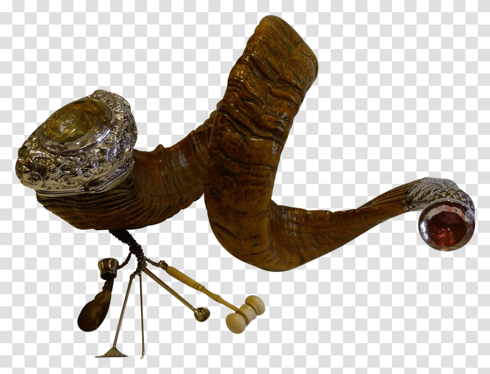 Hickory Golf, Animal, Dinosaur, Reptile, Person Transparent Png