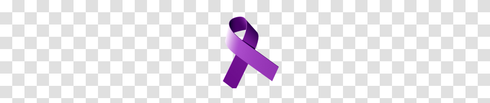 Hidden In Plain Sight A Call To End Domestic Violence The South, Accessories, Accessory, Strap, Purple Transparent Png