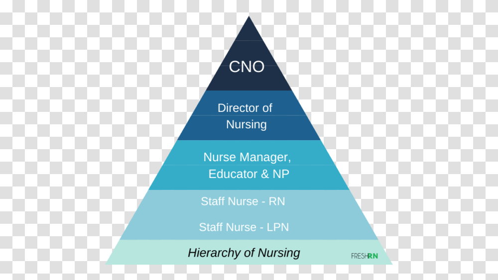 Hierarchy Of Nursing Triangle Transparent Png