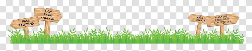 Hierochloe, Green, Plant, Grass, Leaf Transparent Png