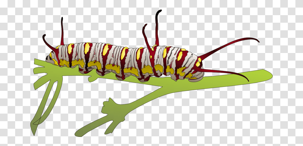 Higad Clipart, Animal, Invertebrate, Worm, Insect Transparent Png