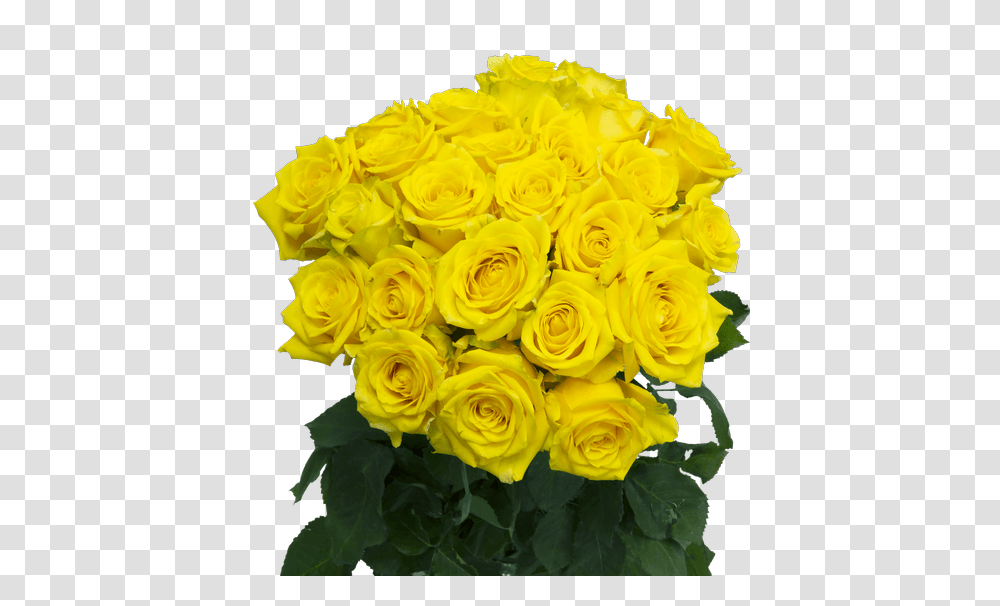 High And Exotic Yellow Rose 50cm Us Retail Flowers Floribunda, Plant, Blossom, Flower Bouquet, Flower Arrangement Transparent Png