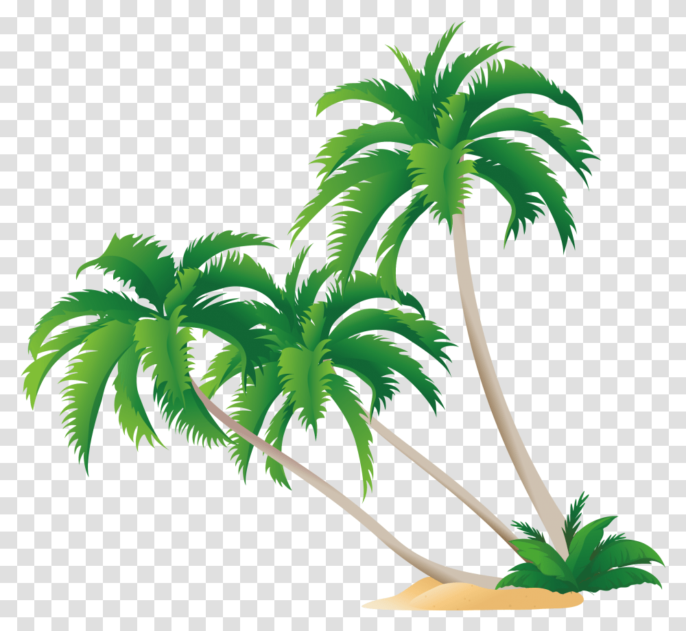 High Definition Video Display Resolution Wallpaper Palm Clipart Coconut Tree Vector, Plant, Palm Tree, Arecaceae, Green Transparent Png