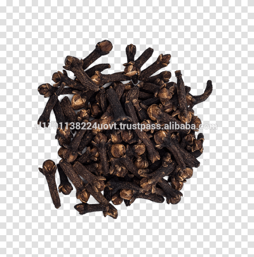 High Quality Cloves 25kg Of Low Price Da Hong Pao, Plant, Mineral, Outer Space, Astronomy Transparent Png