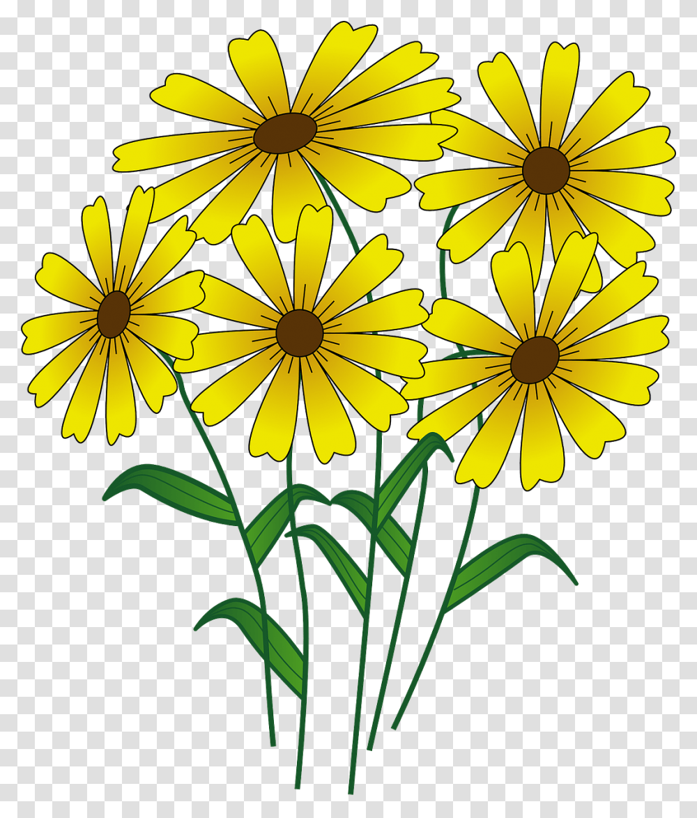 High Quality Free Summer Clip Art For Your Projects Flowers Cartoon, Plant, Blossom, Daisy, Daisies Transparent Png