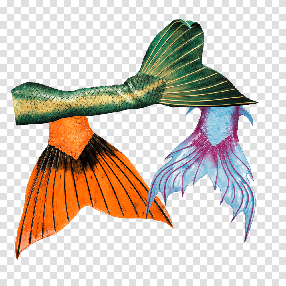 High Quality Mermaid Tails, Fish, Animal, Bird, Aquatic Transparent Png