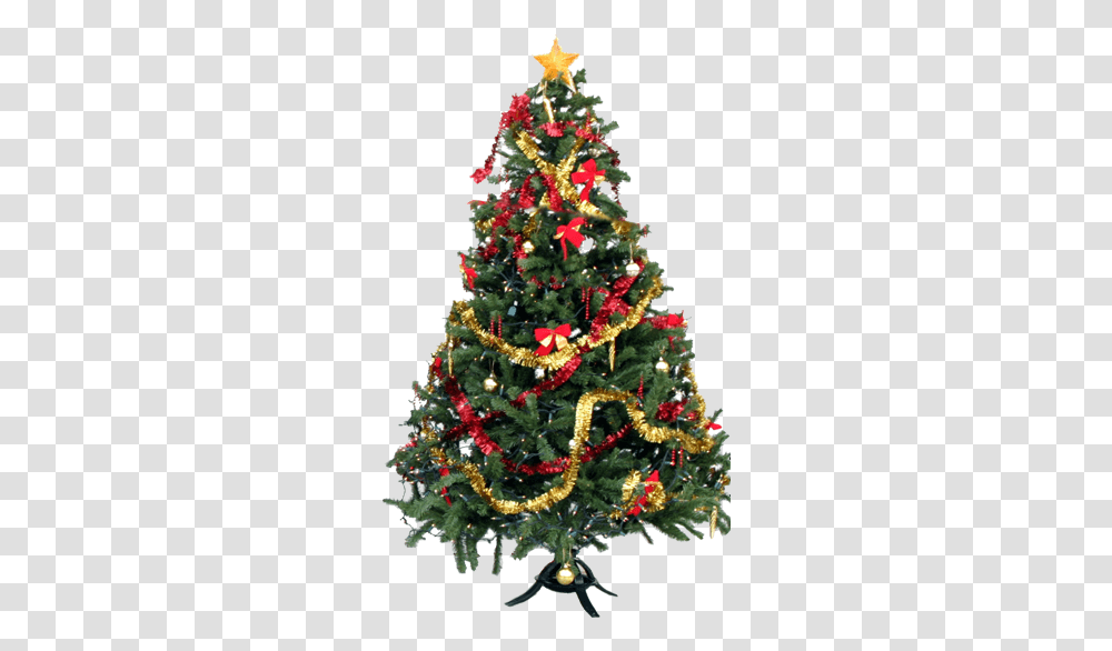 High Res Christmas Tree, Ornament, Plant, Pine Transparent Png