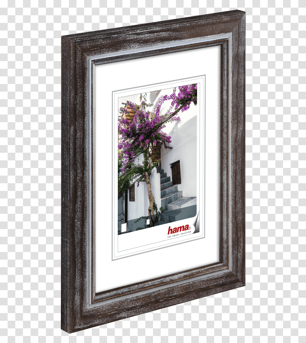 High Res Image, Plant, Flower, Collage, Poster Transparent Png