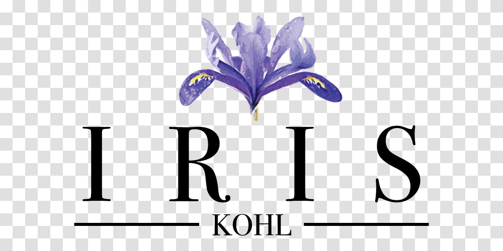 High Resolution Image Of Iris Flower, Number, Plant Transparent Png