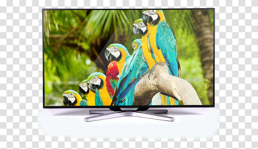 High Resolution Led Tv, Monitor, Screen, Electronics, Display Transparent Png