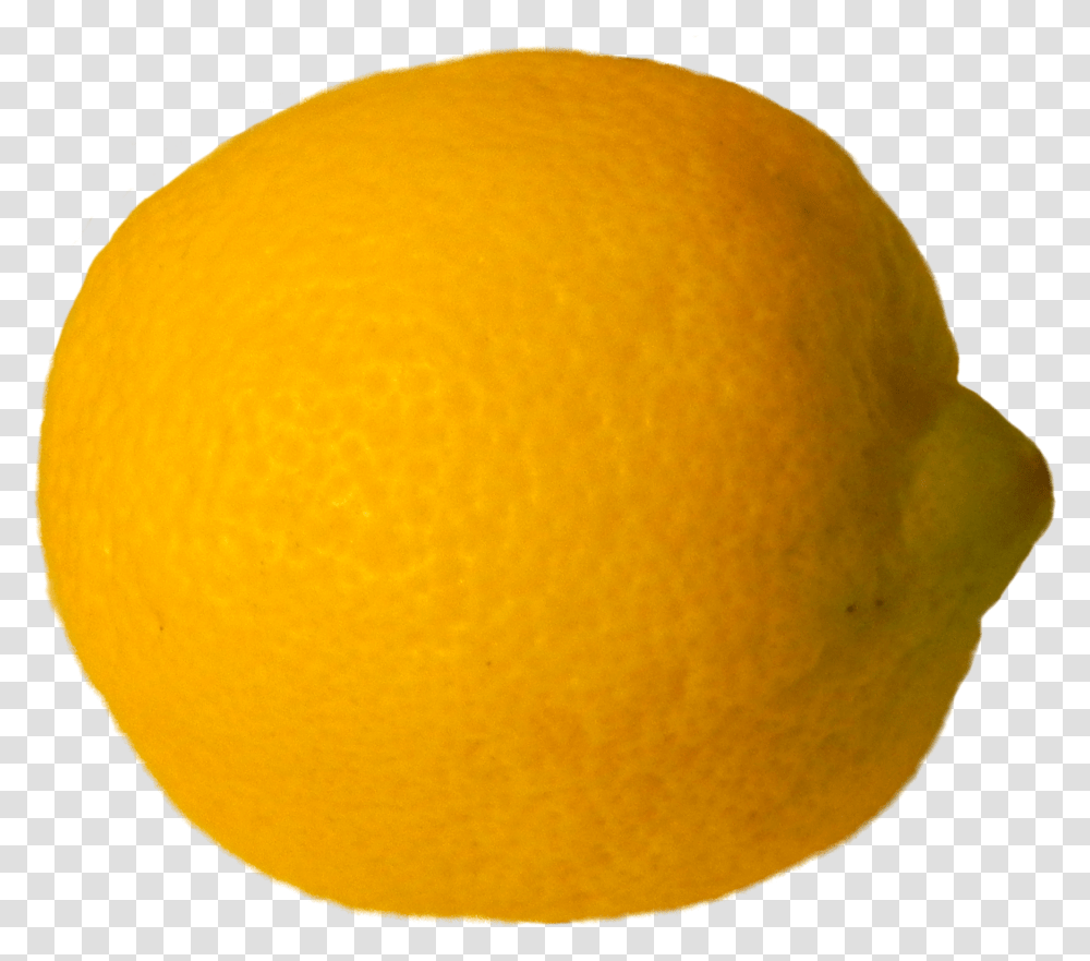 High Resolution Lemon Clipart Blood Orange, Citrus Fruit, Plant, Food, Grapefruit Transparent Png