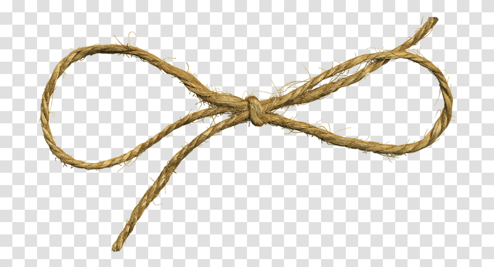 High Resolution Twine Clipart Twine Bow, Knot, Plant, Spider, Invertebrate Transparent Png