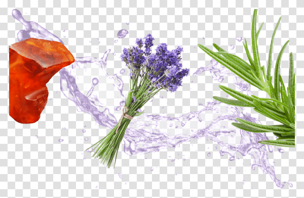 High Resolution Water Splash, Plant, Flower, Blossom, Lavender Transparent Png