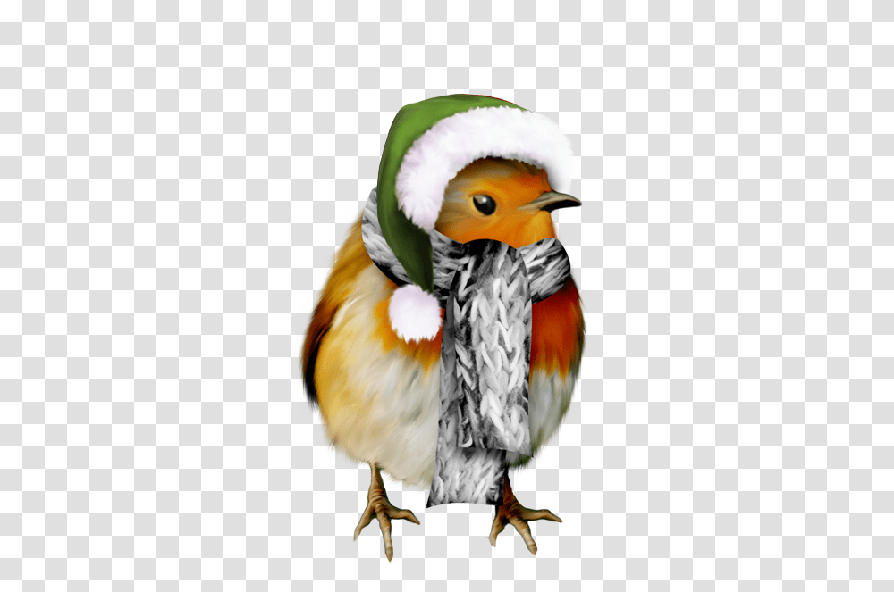 Highfour Pchristmas Clip Art, Bird, Animal, Person, Beak Transparent Png