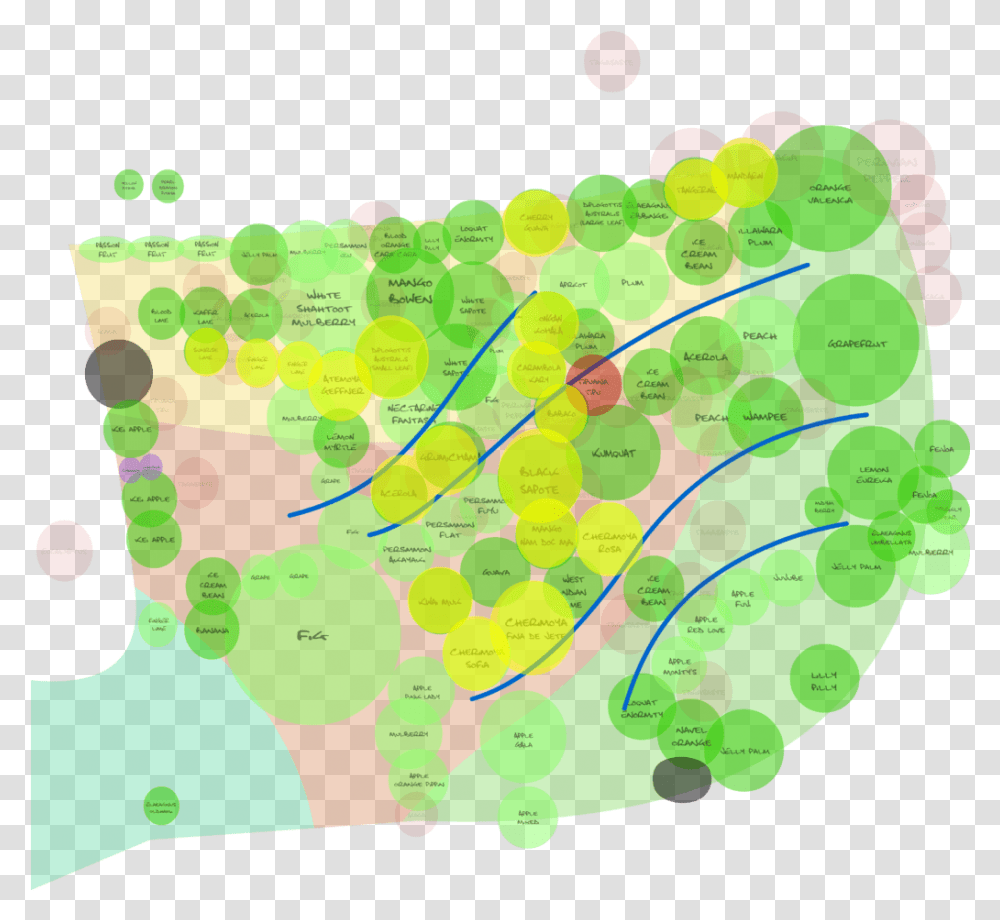 Highlighted Circles Are Trees I Plan Graphic Design, Plot, Diagram, Rug, Text Transparent Png