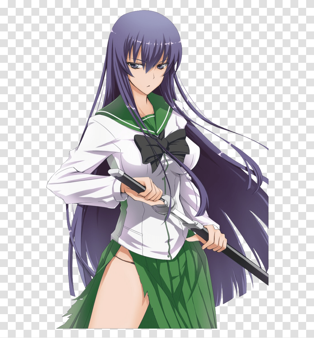 Highschool Of The Dead Purple Haired Girl, Manga, Comics, Book, Person Transparent Png
