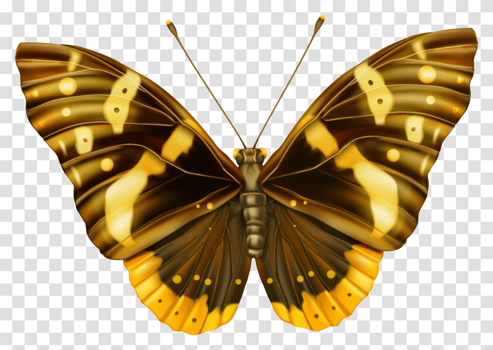 Hill Clipart Brown Rock Brown Butterflies Transparent Png