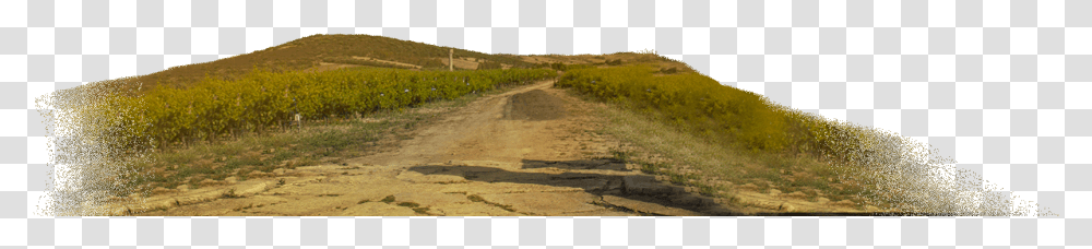 Hill, Outdoors, Road, Nature, Mammal Transparent Png