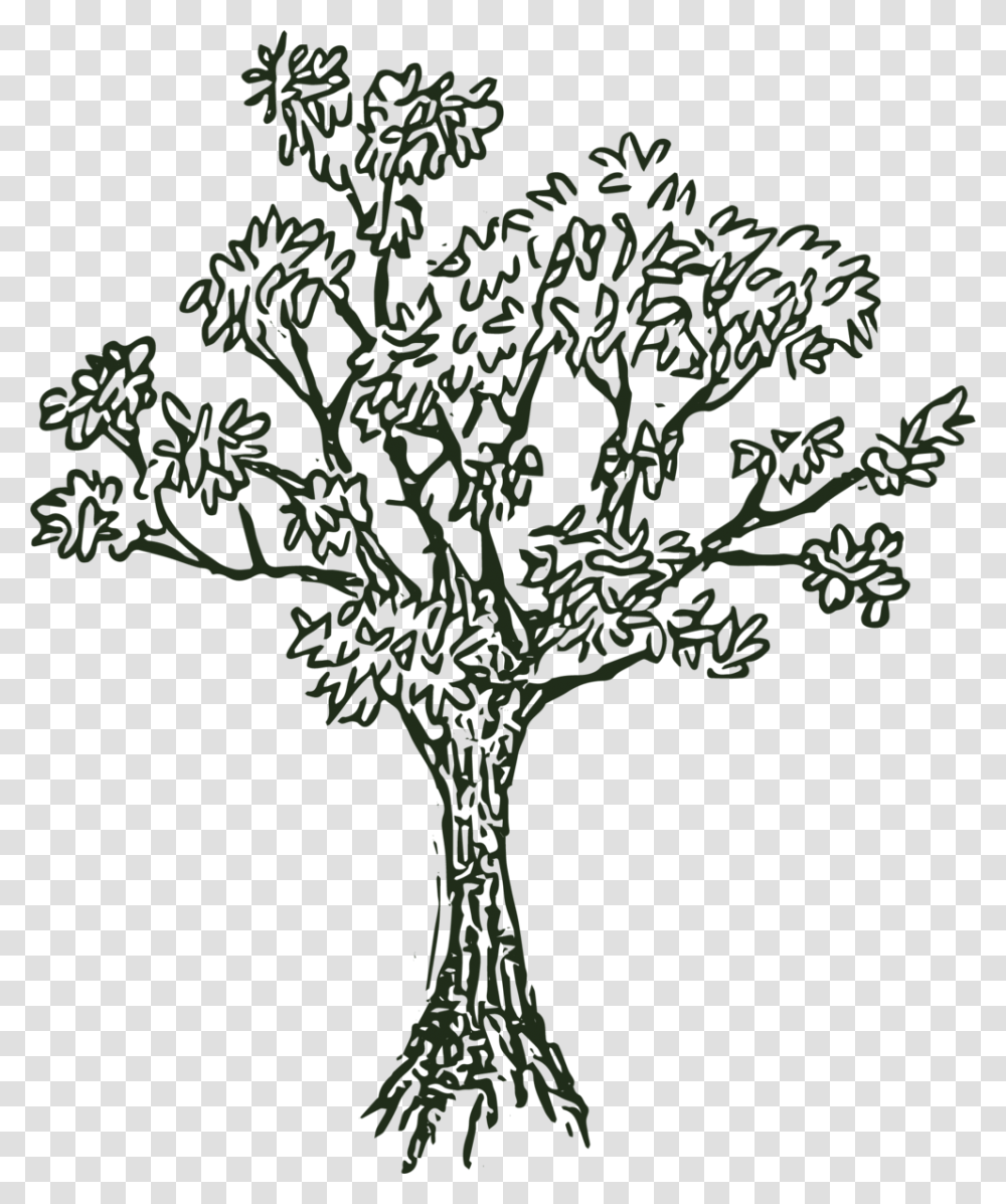 Hill Tree Black And White Lost Hill Lake Events, Plant, Root, Tree Trunk, Oak Transparent Png