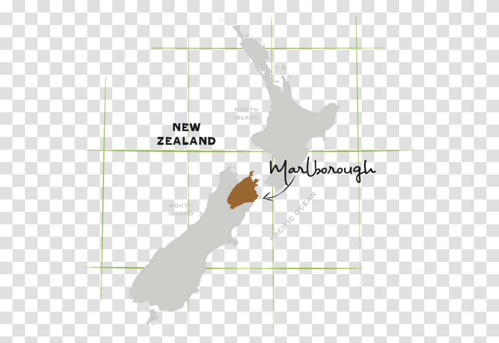 Hillersden Homemap Background New Zealand Map, Plot, Diagram, Vegetation, Person Transparent Png