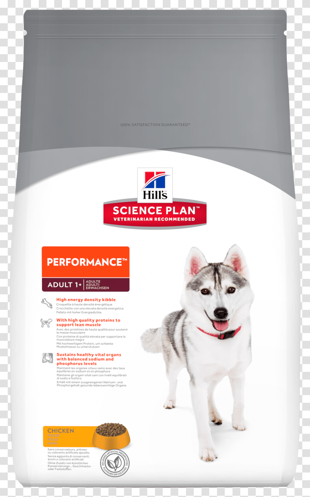 Hills Adult Performance Dog Food 7569 Hairball Control For Cats, Pet, Canine, Animal, Mammal Transparent Png