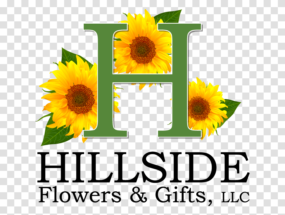 Hillside Flowers Amp Gifts Tennessee State University College Of Business, Plant, Sunflower, Blossom Transparent Png