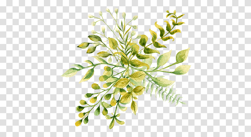 Hints From A Mrs Watercolor Painting, Plant, Leaf, Flower, Vegetation Transparent Png