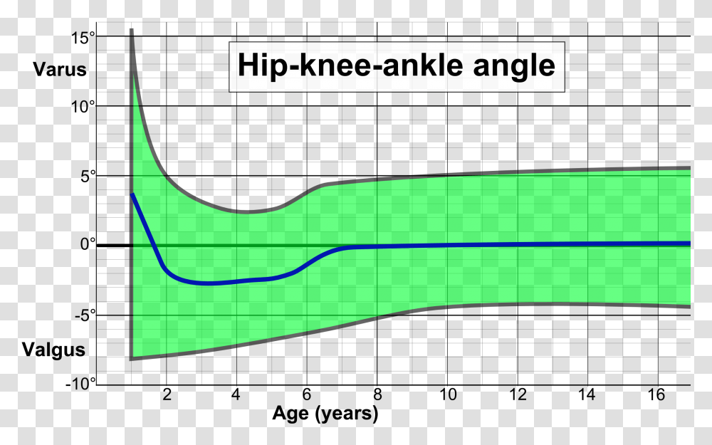 Hip Knee Ankle Angle By Age, Metropolis, Urban, Transportation, Vehicle Transparent Png