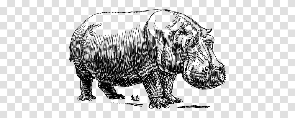 Hippo Technology, Gray, World Of Warcraft Transparent Png