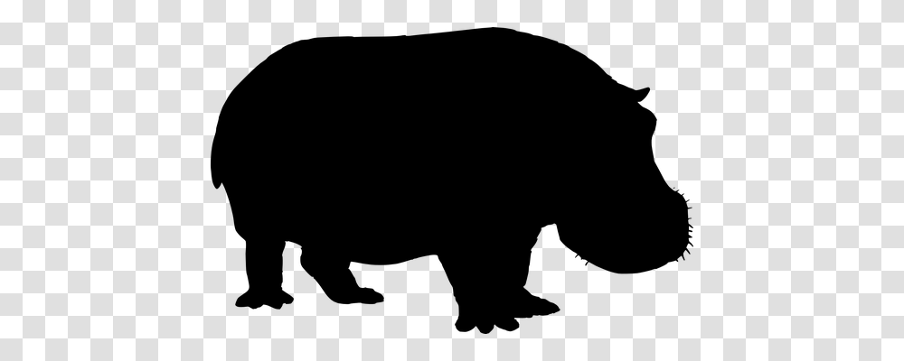 Hippo Animals, Gray, World Of Warcraft Transparent Png