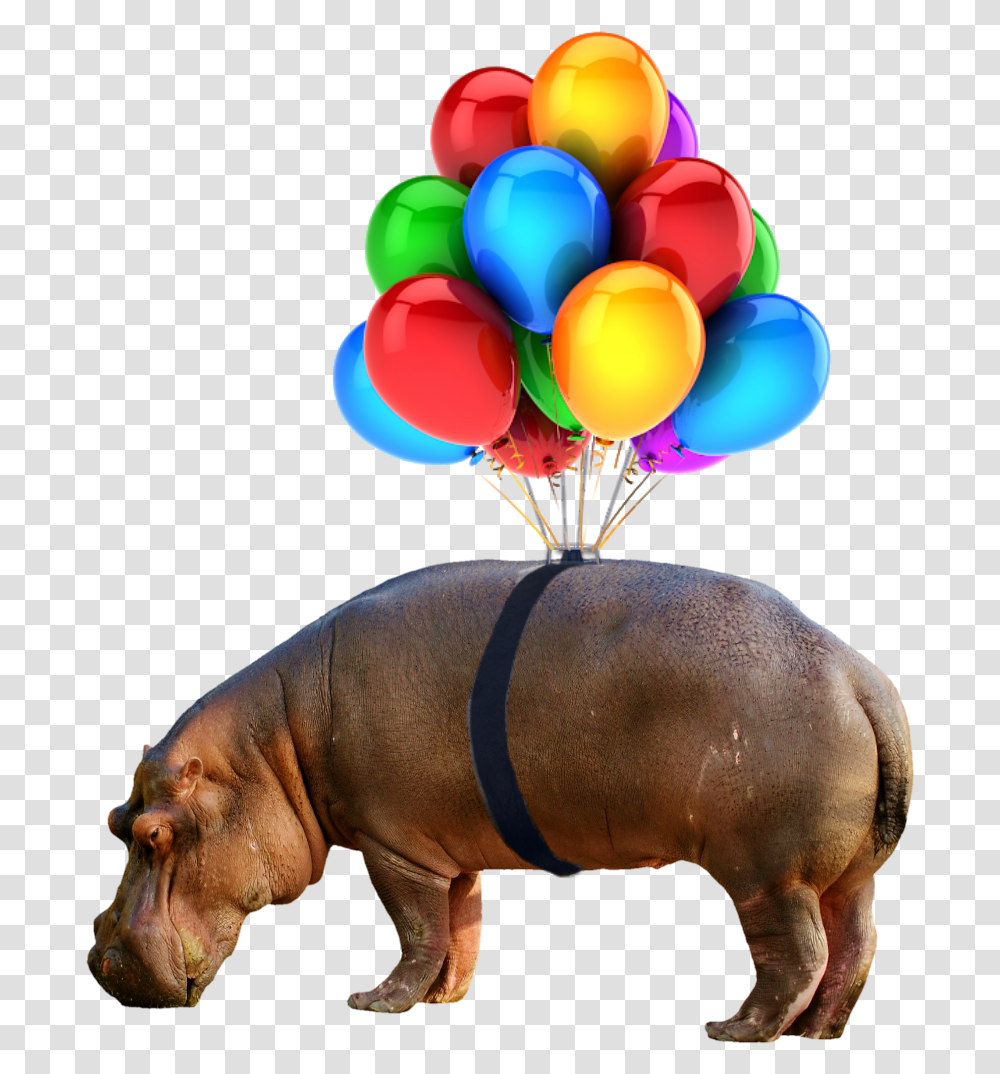 Hippo Nobackground Balloon, Mammal, Animal, Wildlife Transparent Png