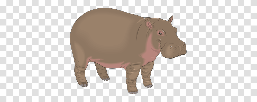 Hippopotamus Animals, Mammal, Wildlife, Pig Transparent Png