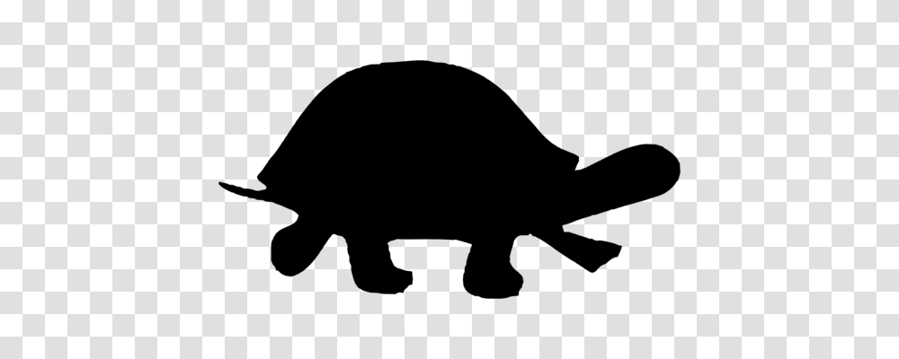Hippopotamus Cat Drawing Lion Animal Rights, Gray, World Of Warcraft Transparent Png