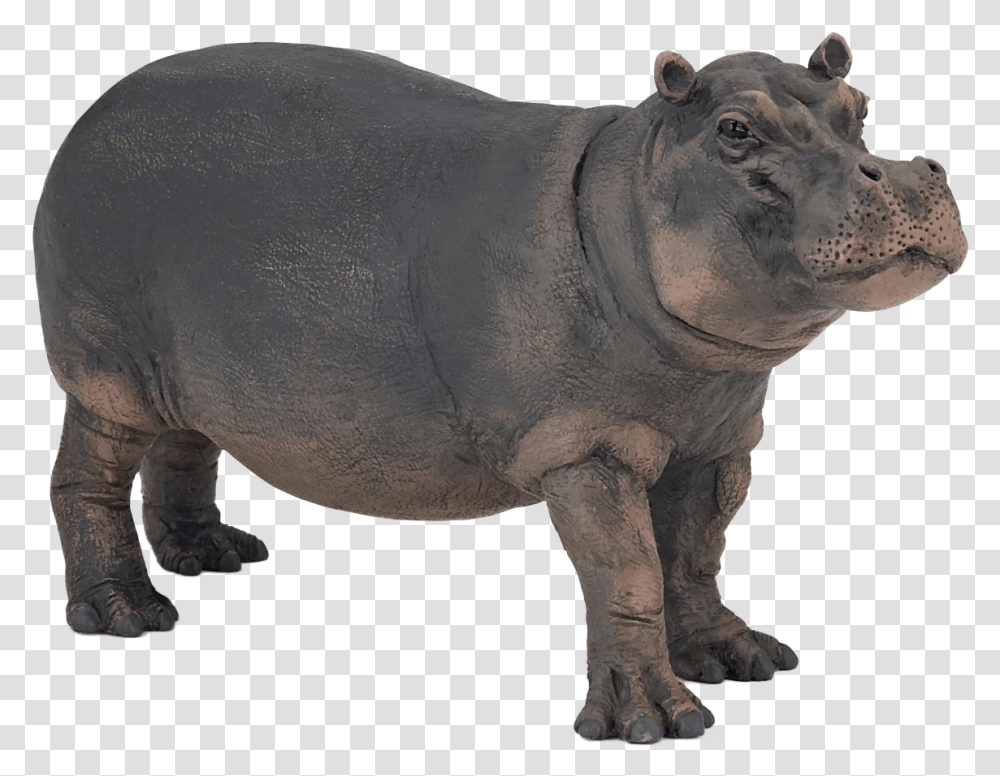 Hippopotamus Image Papo Hippopotamus Toy, Wildlife, Animal, Mammal, Elephant Transparent Png