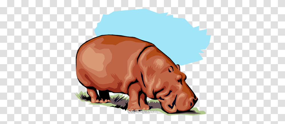 Hippopotamus Royalty Free Vector Clip Art Illustration, Mammal, Animal, Wildlife, Buffalo Transparent Png