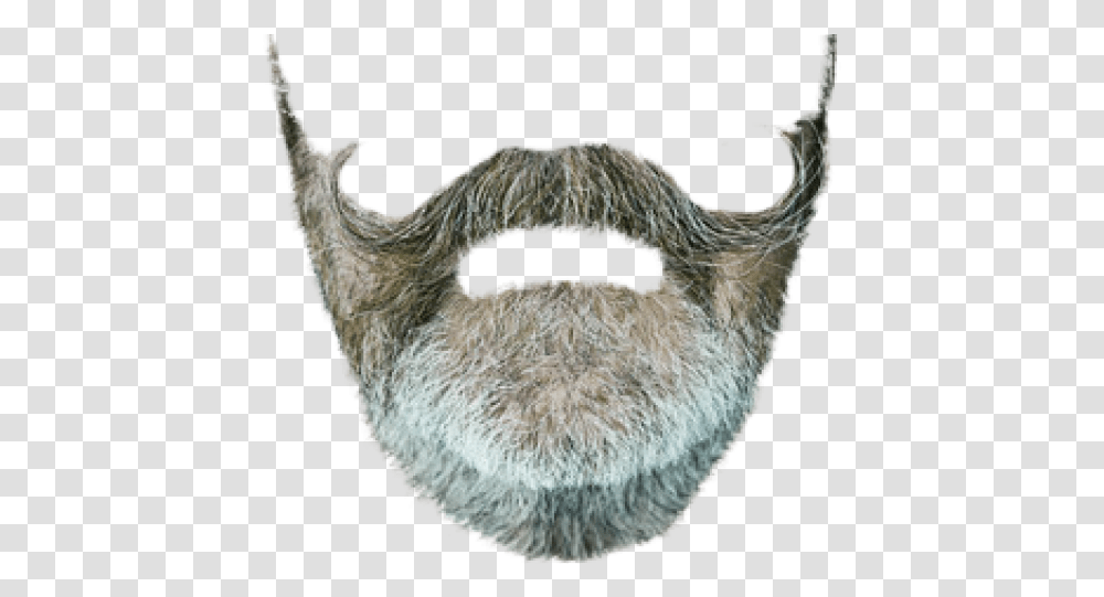 Hipster Beard Beard Clipart Hipster Beard Animal Product, Mustache, Snout, Face Transparent Png