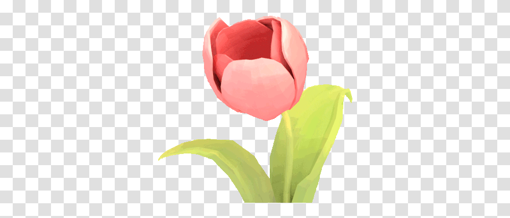 Hipster Floral Tumblr Background Backgrounds For Flower Gif Background, Plant, Petal, Blossom, Tulip Transparent Png