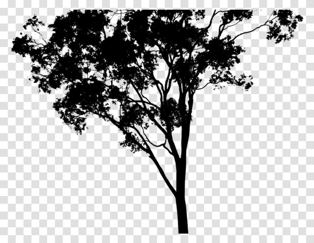 Hipster Vector Tree Huge Freebie Download For Powerpoint Eucalyptus Tree Silhouette, Gray, World Of Warcraft Transparent Png