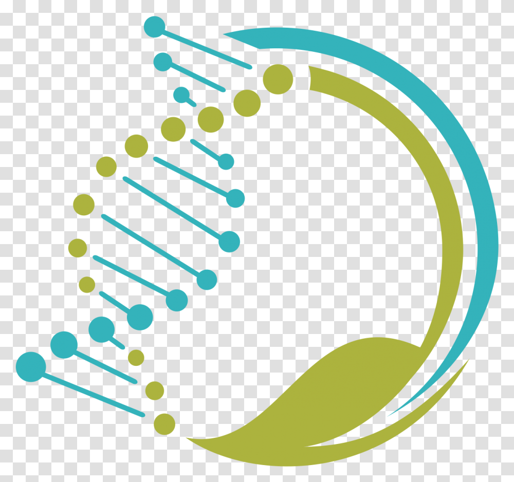 Hire A Genetic Genealogist For Dna Research Legacy Tree Colorful Icon, Graphics, Art, Text, Green Transparent Png