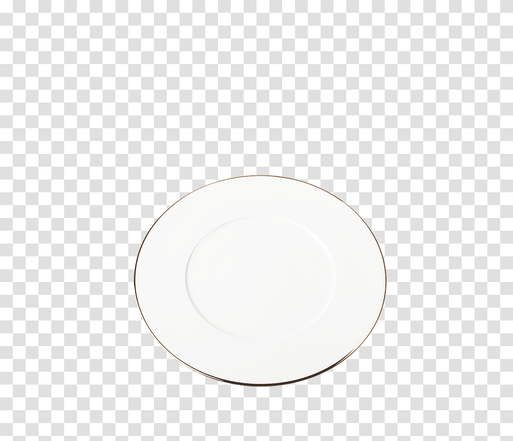 Hire Plane Lunch Plate With Gold Thread, Saucer, Pottery, Moon, Outer Space Transparent Png