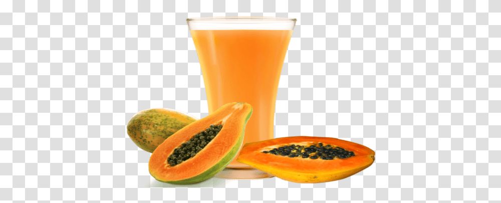 Hirts Gardens Tainung Papaya Tree Papaya Juice Image, Plant, Fruit, Food, Beverage Transparent Png