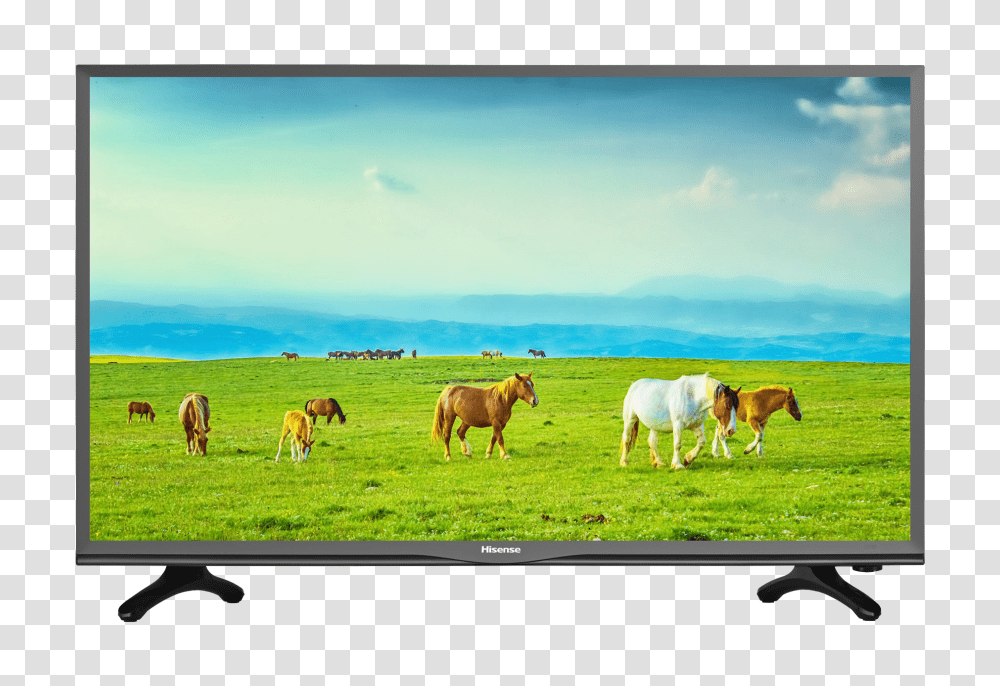 Hisense Tv Fair Price, Monitor, Screen, Electronics, Display Transparent Png