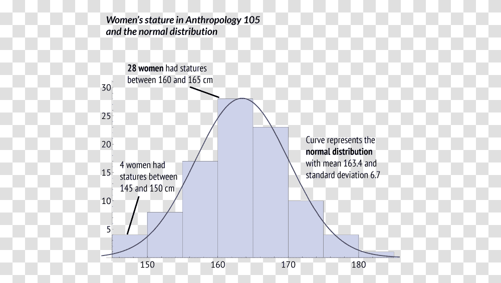 Histogram Of Heights Of Women, Nature, Outdoors, Flyer Transparent Png